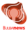 Bulbanews logo.png