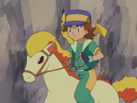 Nurse Joy's Ponyta