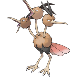 Dodrio