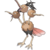 Dodrio