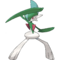 475Gallade.png