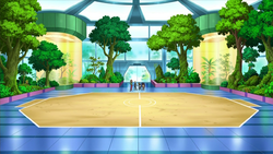 Castelia Gym field.png