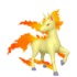 Rapidash