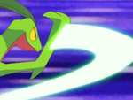 Natasha Grovyle Leaf Blade.png