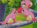 Pink Pidgey.png