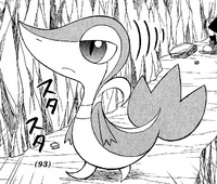 Katsuya's Snivy