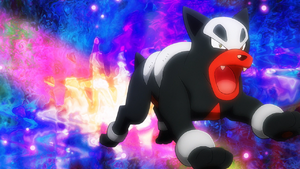 Rocket Prize Master Houndour.png