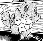 Shigeru Squirtle Zensho.png