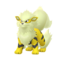 Arcanine