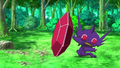 A Mega Sableye