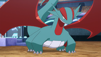 Sawyer's Salamence