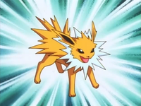 Pokémon League entrance exam instructor's Jolteon