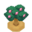 PersimTreeBerryVI XY.png