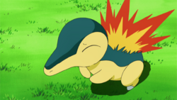 Ash Cyndaquil.png