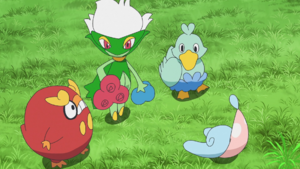 Roserade Darumaka Ducklett HZ053.png