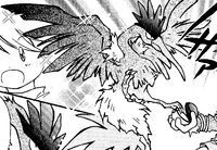 Takaya's Fearow