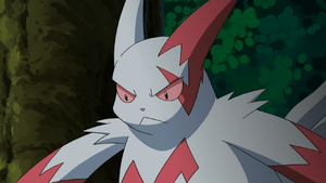 Weiss Zangoose.png