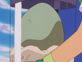 Ash's Larvitar Egg