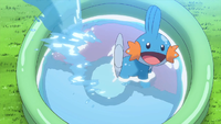 May's Mudkip