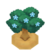 OranTreeBloomVI XY.png