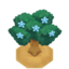 OranTreeBloomVI XY.png