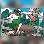 Skiddo