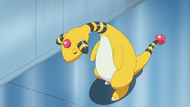 Molayne Ampharos.png