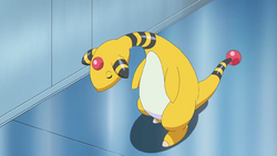 Molayne Ampharos.png