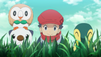 Oshawott, Rowlet, and Cyndaquil