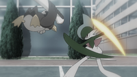 Rinto Gallade Feint.png