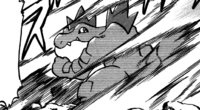 Silver Feraligatr Aqua Tail.png