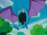 Brock Golbat.png