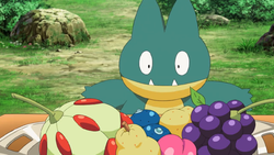 Nebel Plateau Munchlax.png