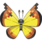 0666Vivillon-Continental.png