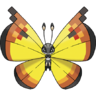 0666Vivillon-Continental.png