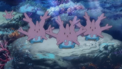 Corsola SM071.png