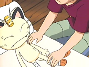 Tyson Meowth take care.png