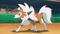 Dusk Form Lycanroc in the anime