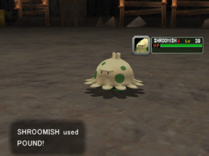 Maiz Shroomish Pound Colosseum.png