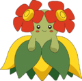 Samuel Nakaoka's Bellossom