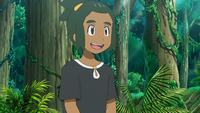 Hau anime.png