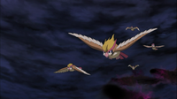 Marshadow's Pidgeot