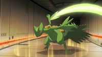 Brendan's Sceptile