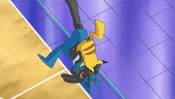 Cameron Lucario Circle Throw.png