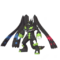 Zygarde