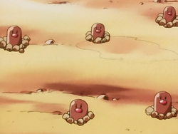 Poncho Diglett.png