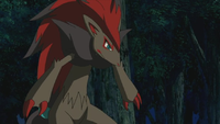 Kodai's Zoroark