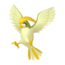 Pidgeotto