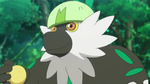 Tiny Passimian.png