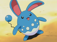 Vincent's Azumarill